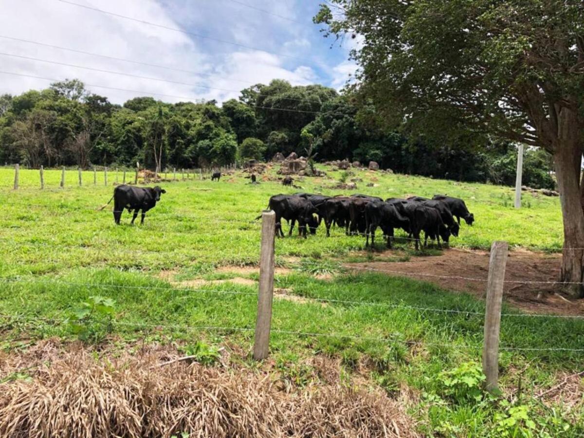 Sitio No Interior De Sp Para Curtir A Natureza 아구아스 다 프라타 외부 사진